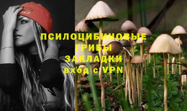 ешки Лагань